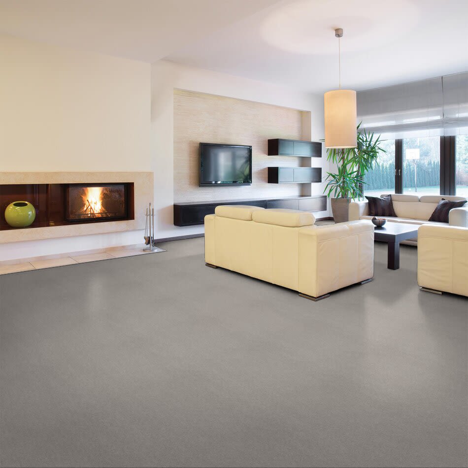 Shaw Floors Mi Homes Fawnbrook Glacier Ice 00591_MH147