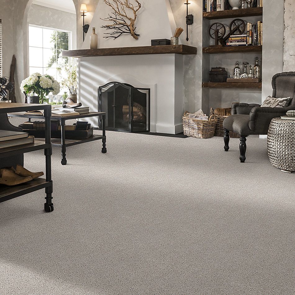 Shaw Floors Simply The Best Suave Net Koala 00592_5E388