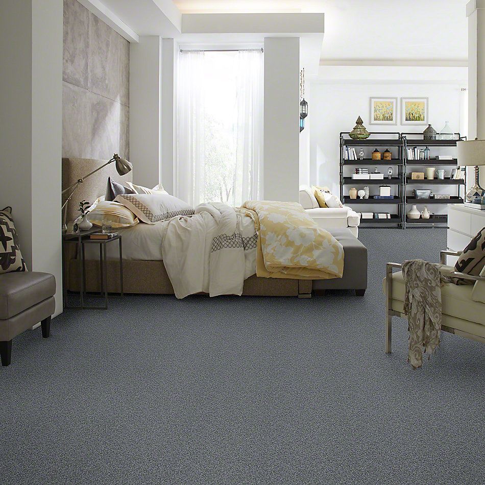 Shaw Floors Foundations Keen Senses I Night Club 00592_E9714
