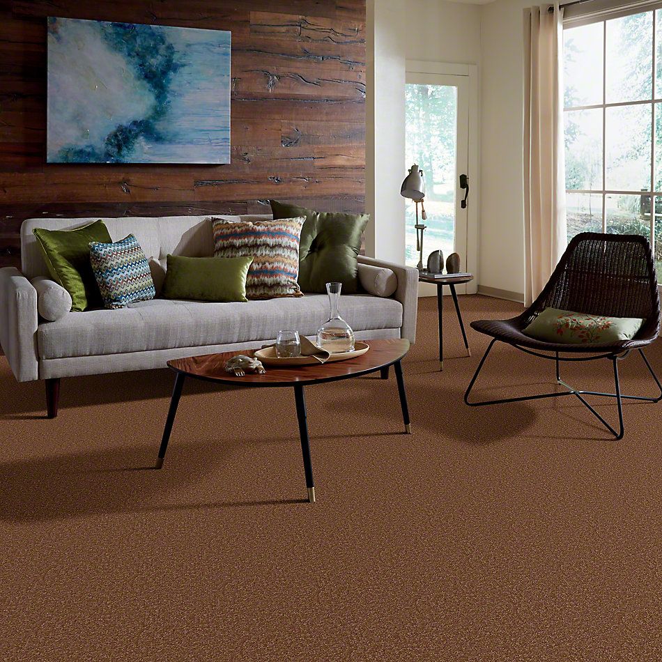 Shaw Floors SFA Passageway II Soft Copper 52S25_00600