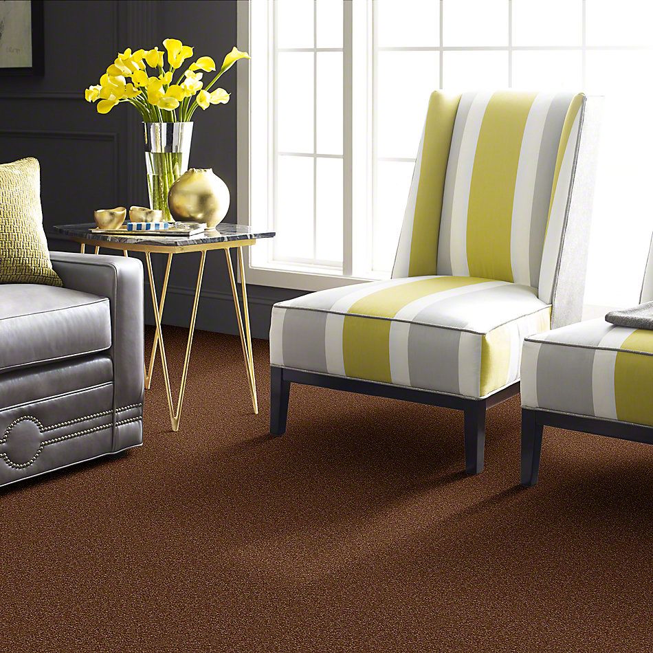 Shaw Floors Town Creek II Soft Copper 52S30_00600