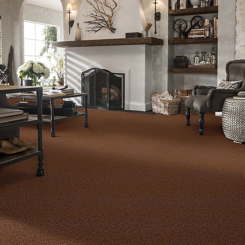 Shaw Floors Town Creek II Soft Copper 52S30_00600