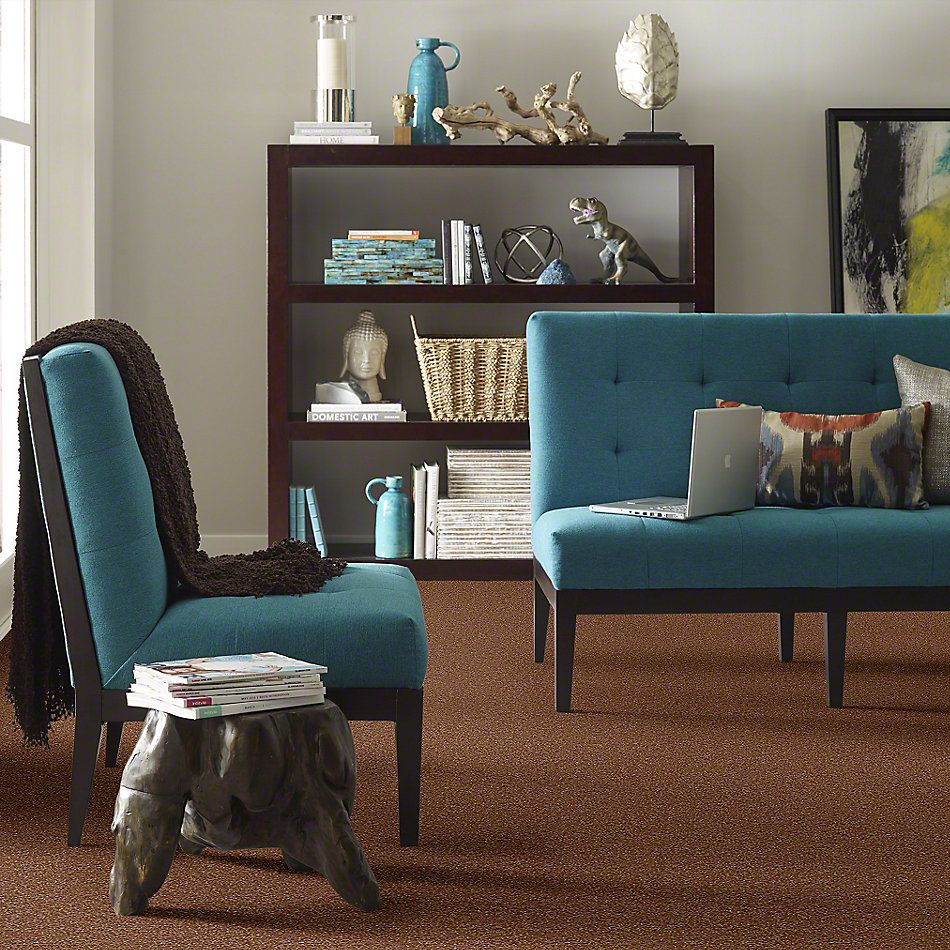 Shaw Floors Town Creek II Soft Copper 52S30_00600