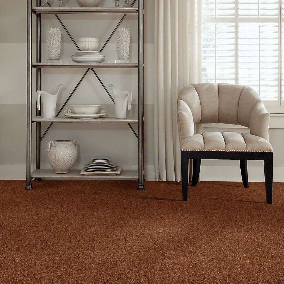 Shaw Floors Town Creek I 15′ Soft Copper 52V12_00600