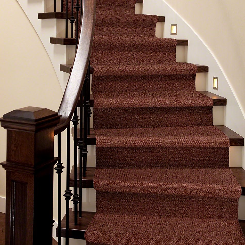 Shaw Floors Shaw Design Center Proven Identity Loop Terra Cotta 00600_5C695