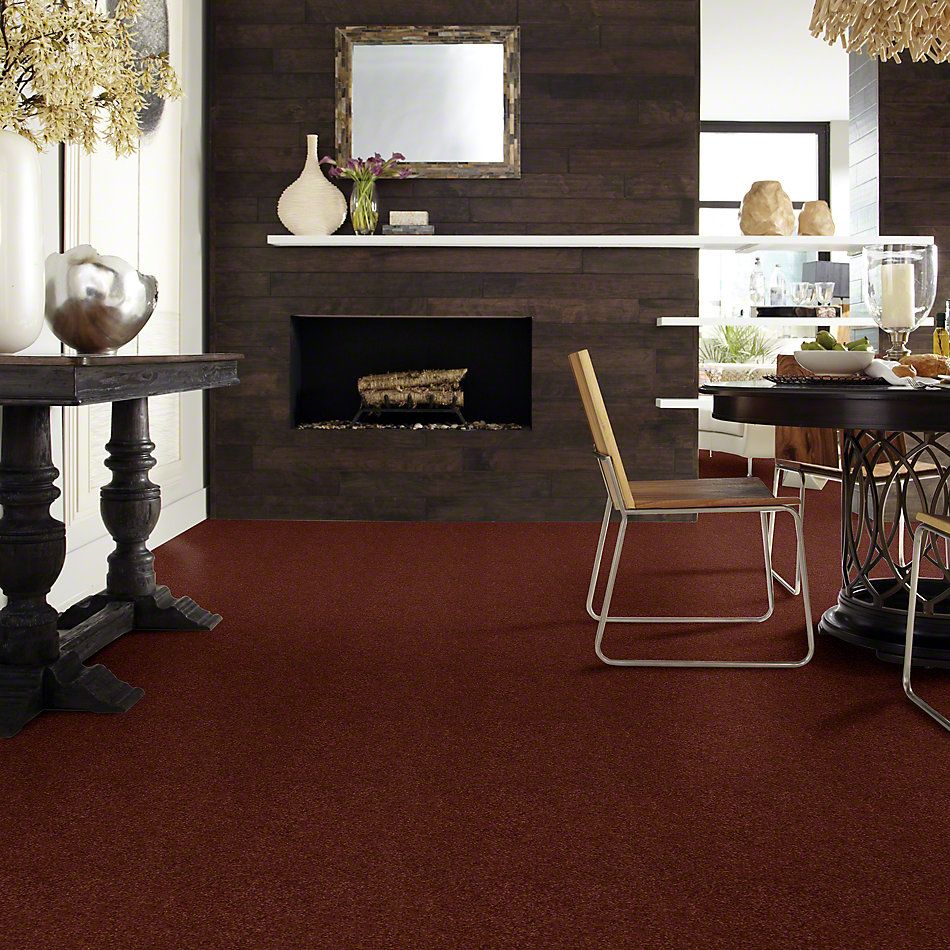 Shaw Floors Enduring Comfort II Terra Cotta 00600_E0342