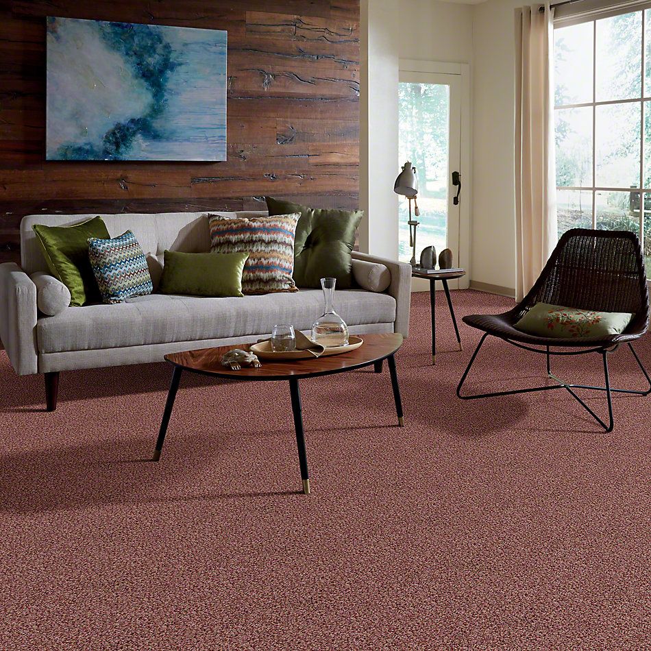Shaw Floors Value Collections Color Flair Net Summer Coral 00600_E0853