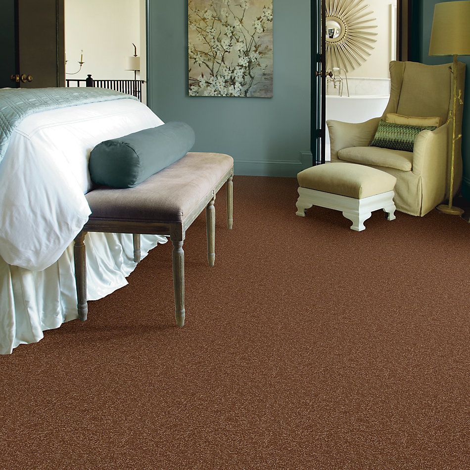 Shaw Floors Value Collections Passageway 2 12 Soft Copper 00600_E9153