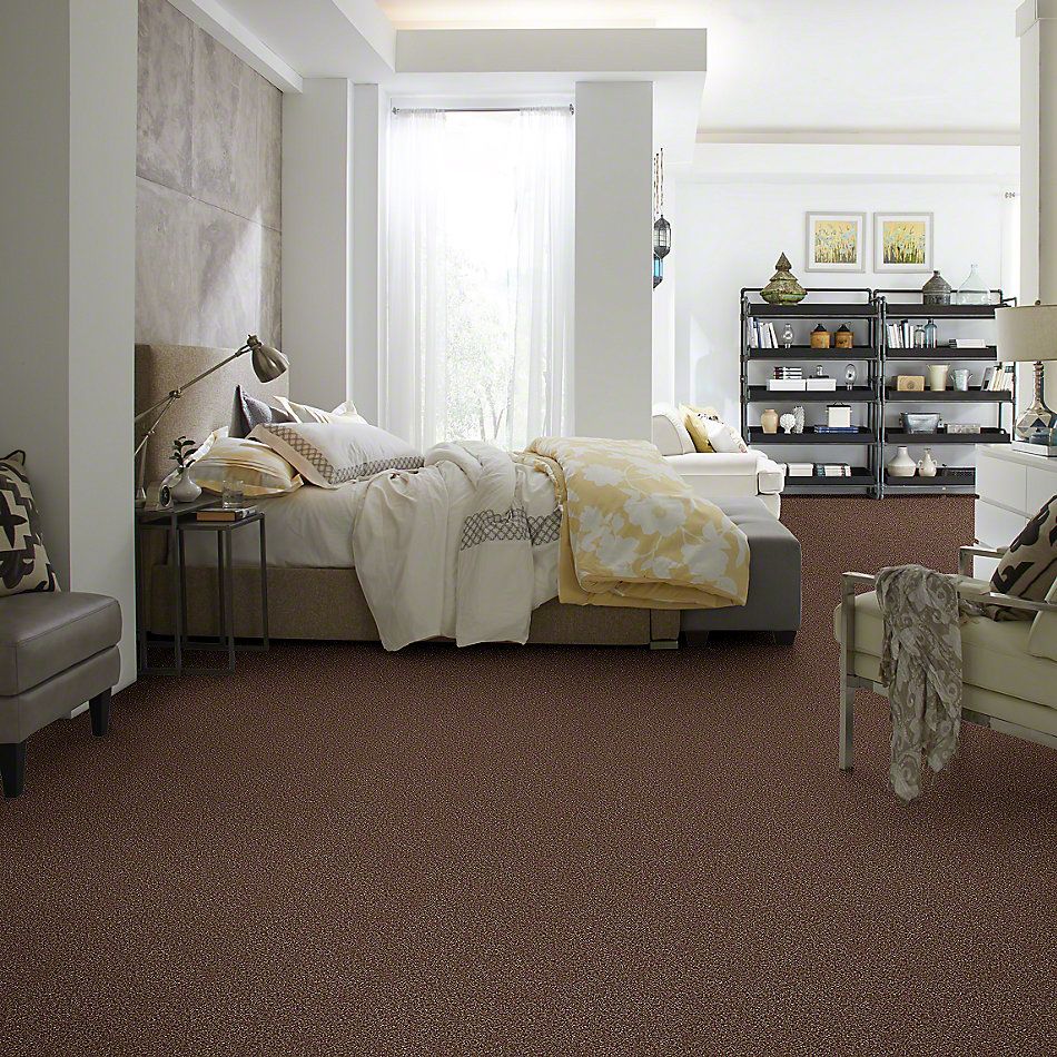 Shaw Floors Simply The Best Of Course We Can II 12′ Ocher 00600_E9423