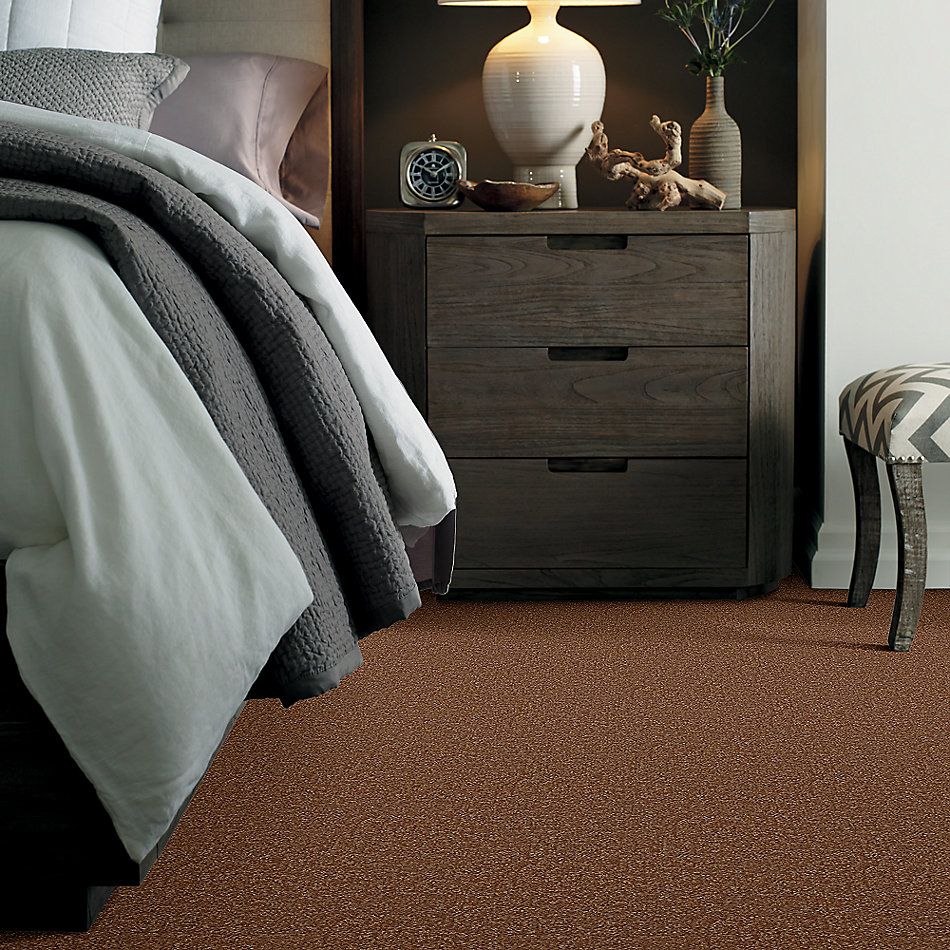 Shaw Floors Value Collections Passageway II 15 Net Soft Copper 00600_E9621