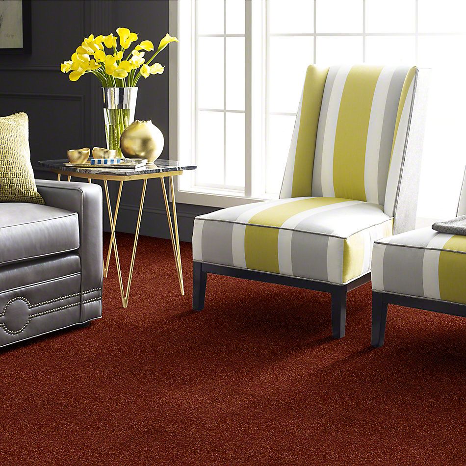 Shaw Floors Town Creek I 15′ Maple Leaf 52V12_00601