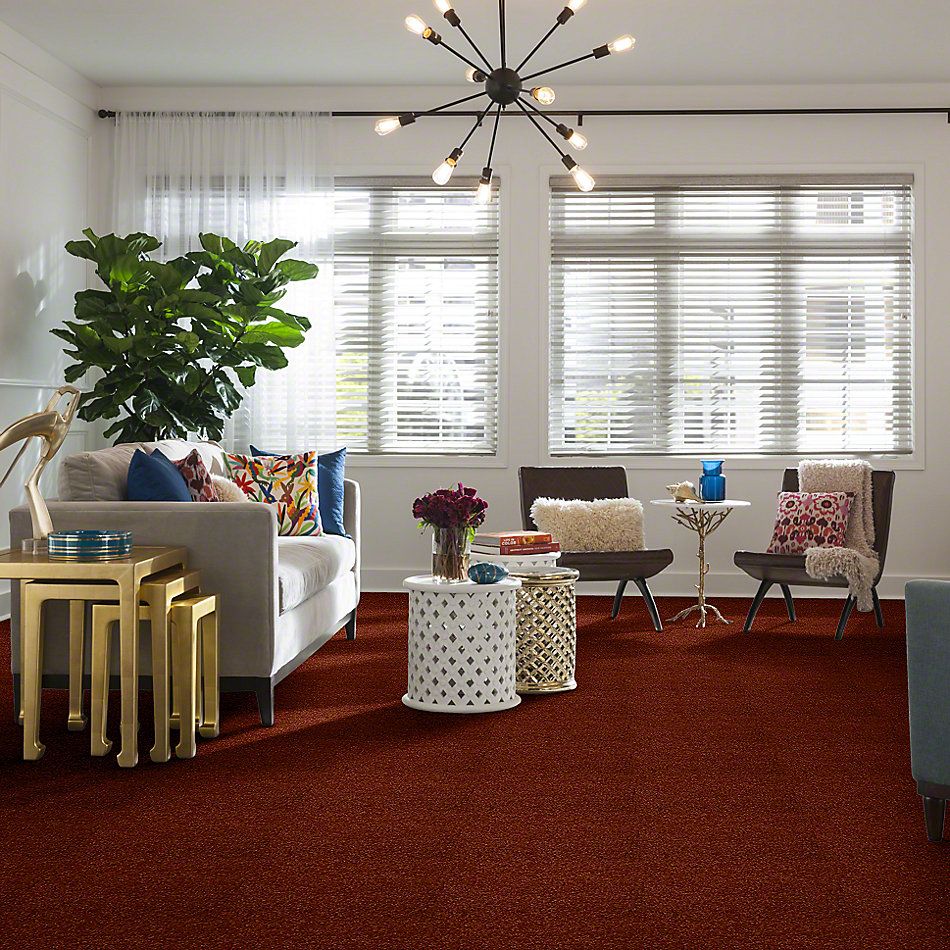 Shaw Floors Town Creek I 15′ Maple Leaf 52V12_00601