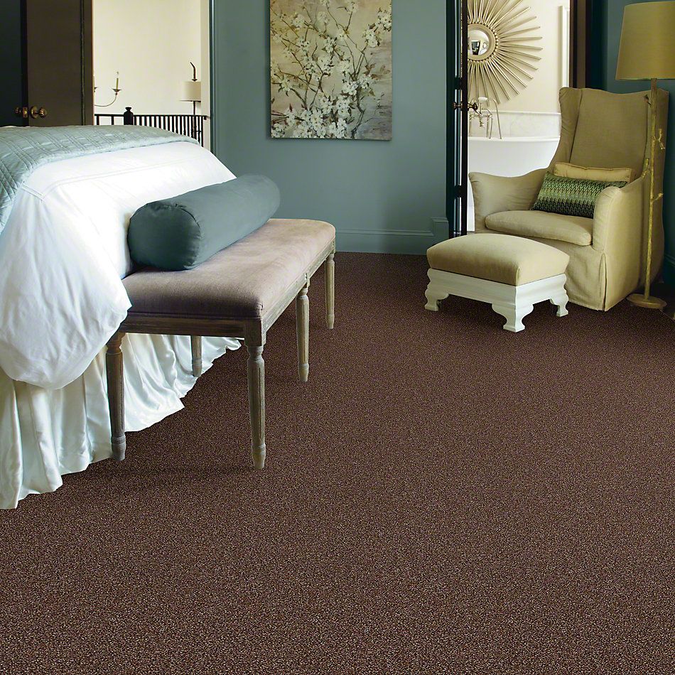 Shaw Floors Bellera Points Of Color I Maple Leaf 00601_E9642