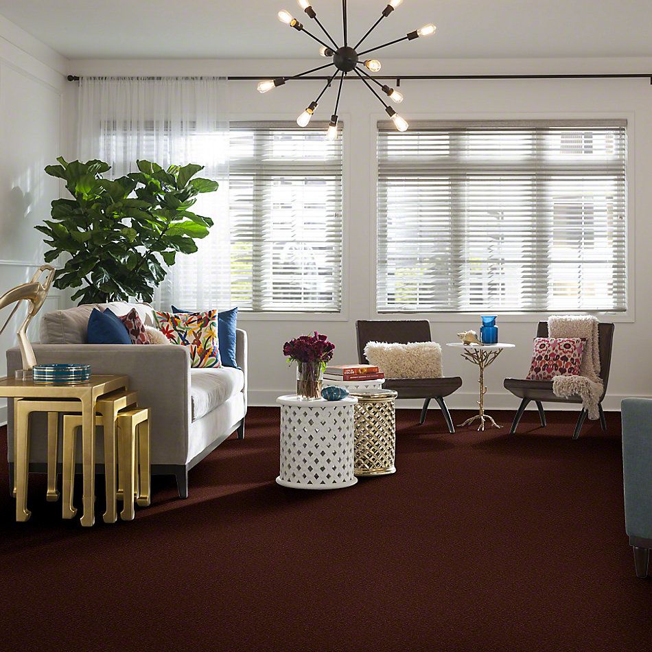 Shaw Floors Anso Premier Dealer Great Effect I 12′ Spanish Tile 00601_Q4327