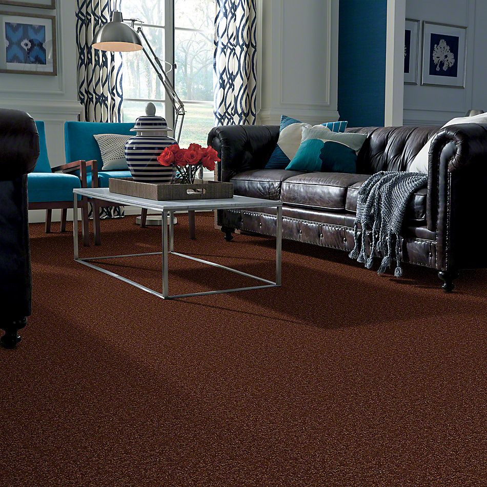 Shaw Floors Town Creek II Gingerbread 52S30_00602