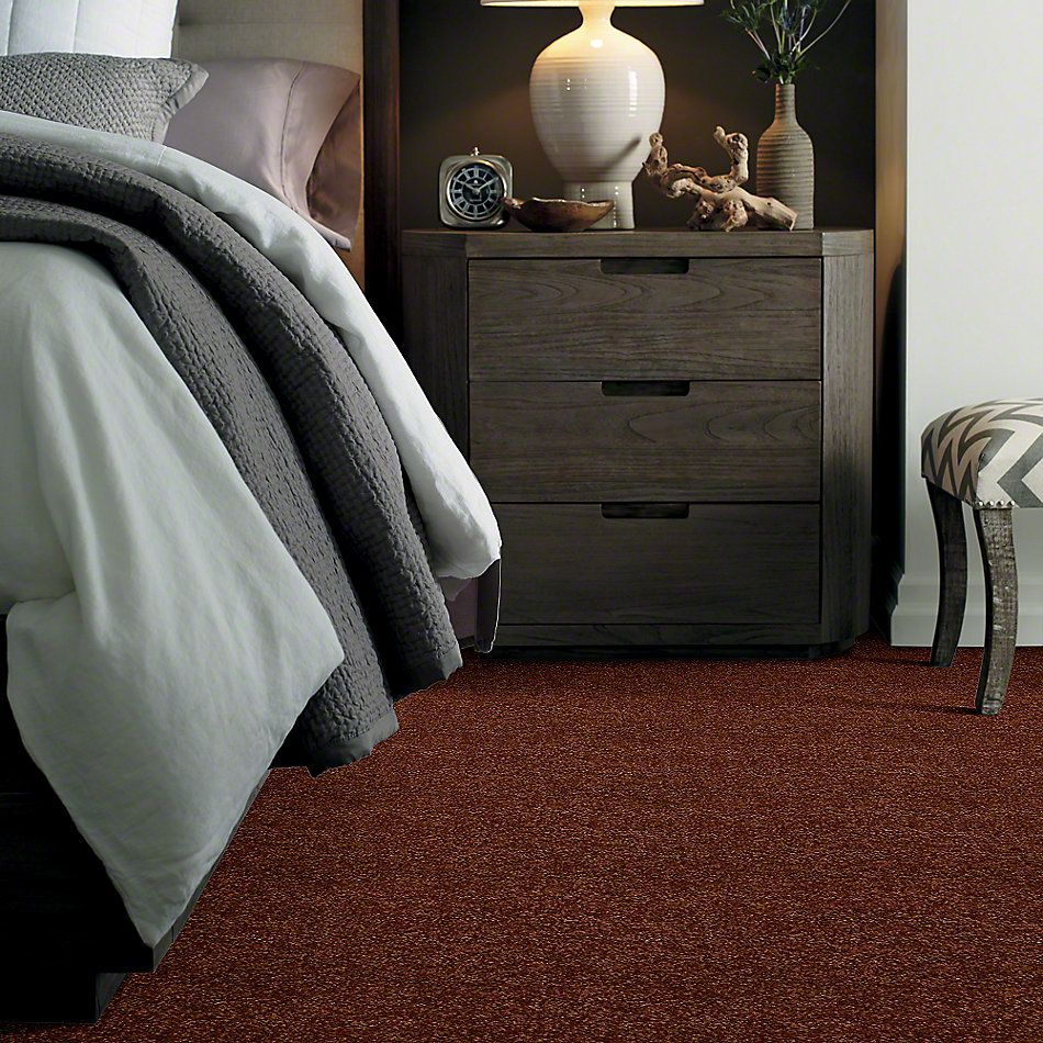 Shaw Floors Town Creek I 15′ Gingerbread 52V12_00602