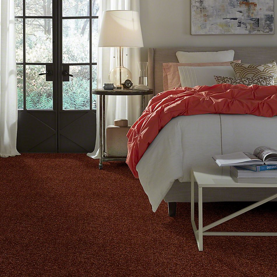 Shaw Floors Town Creek I 15′ Gingerbread 52V12_00602