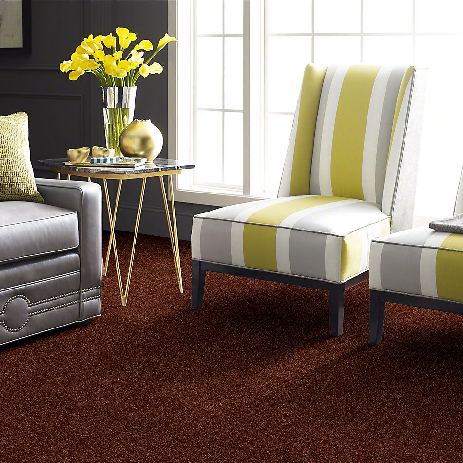 Shaw Floors Town Creek I 15′ Gingerbread 52V12_00602