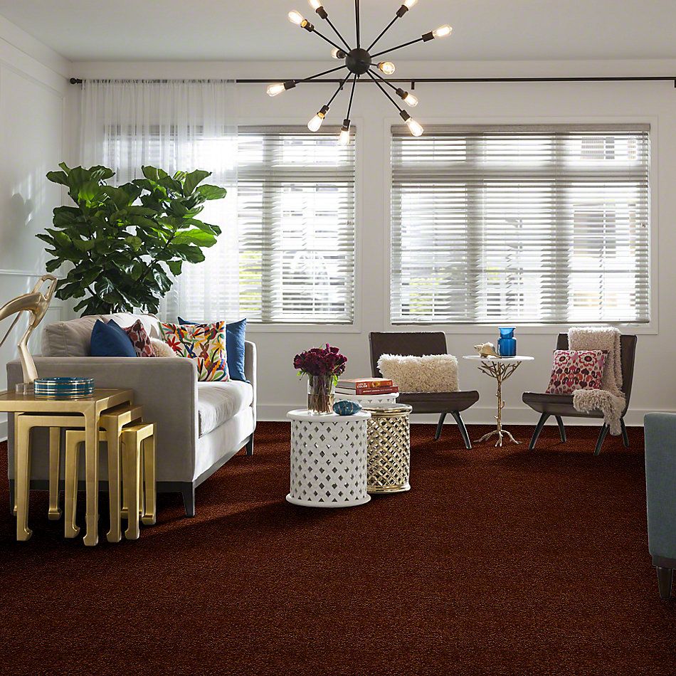 Shaw Floors Town Creek I 15′ Gingerbread 52V12_00602