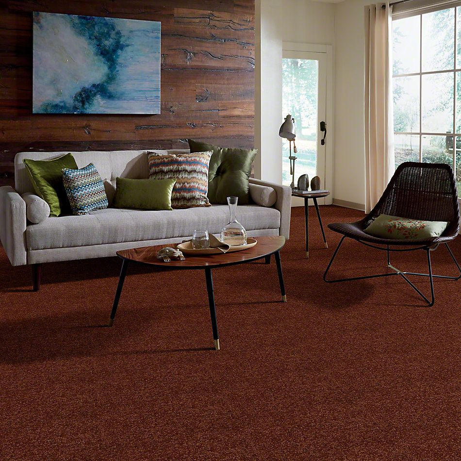 Shaw Floors Town Creek I 15′ Gingerbread 52V12_00602