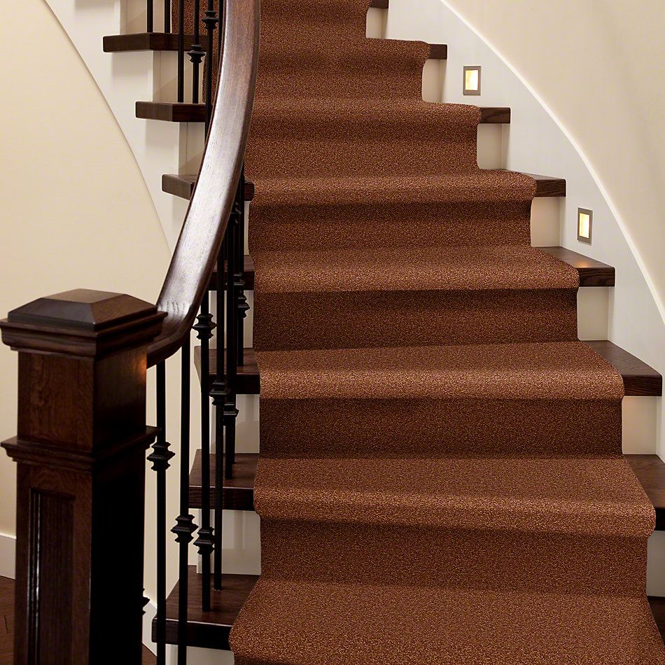 Shaw Floors SFA Timeless Appeal II 15′ Dark Amber 00602_Q4313