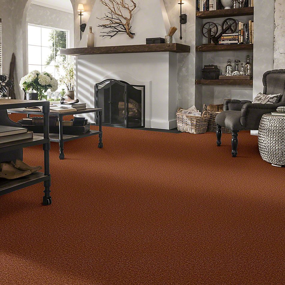 Shaw Floors SFA Timeless Appeal III 12′ Dark Amber 00602_Q4314