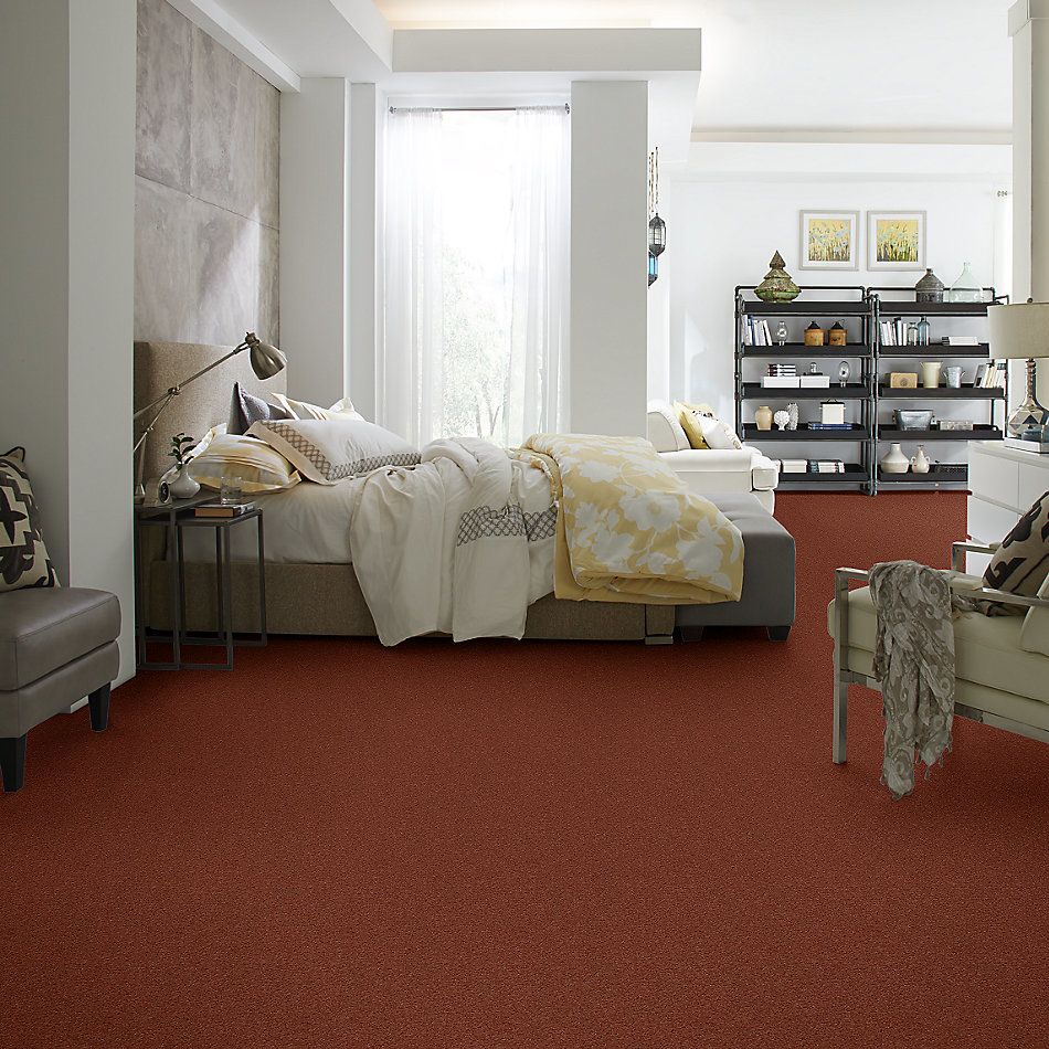 Shaw Floors Caress By Shaw Cashmere Iv Grand Canyon 00602_CCS04