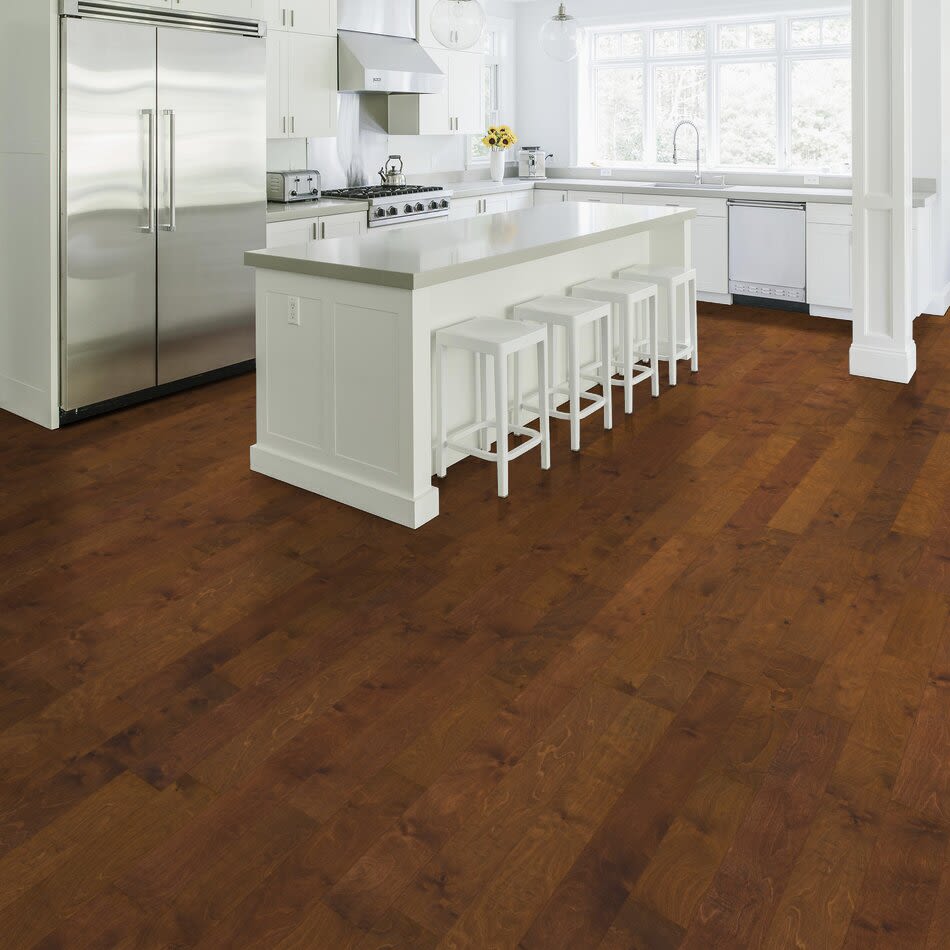 Shaw Floors Carpets Plus Design Values Collection Cottonwood Birch Burnside 00627_CH878