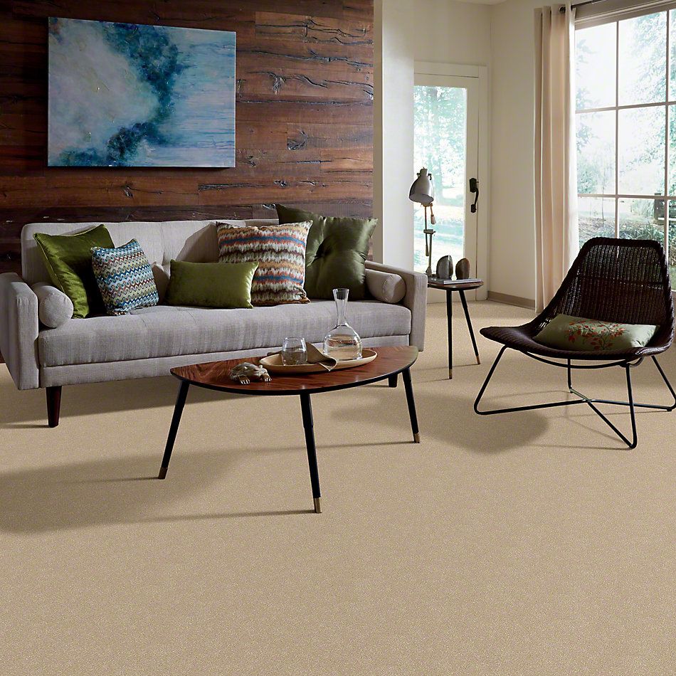 Shaw Floors SFA Enjoy The Moment 1 12 Twisted Oak 00700_0C013