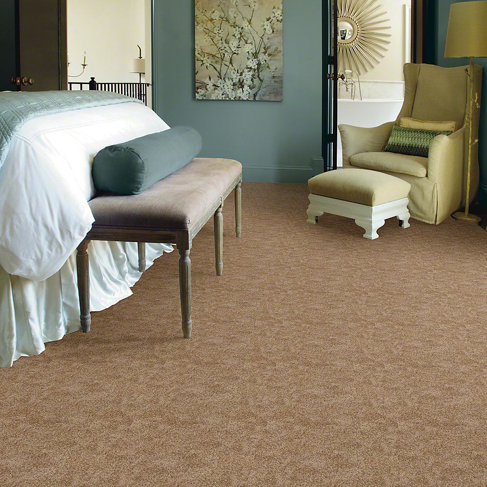 Shaw Floors Shaw Flooring Gallery Chromatic Spice Bark 53633_00700