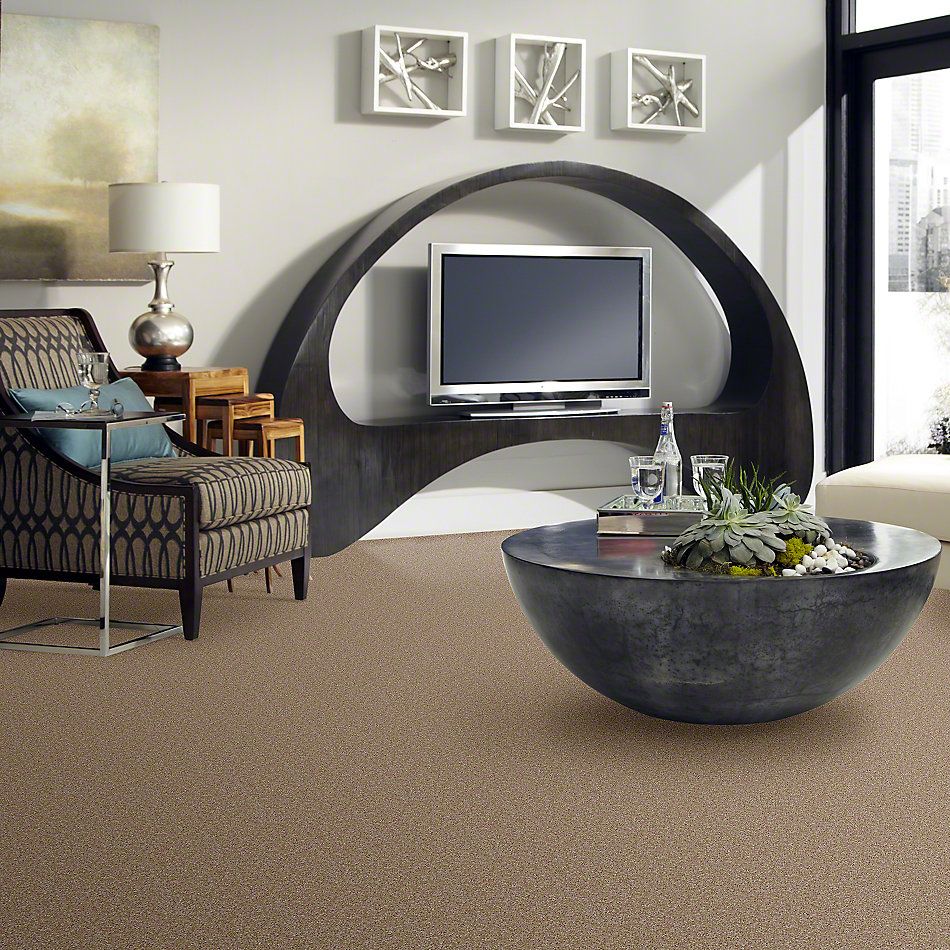 Shaw Floors Instant Winner Tweed 52E28_00700