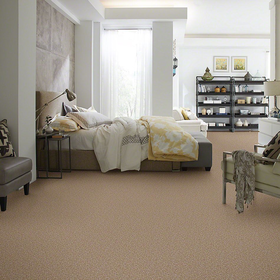 Shaw Floors Instant Winner Tweed 52E28_00700