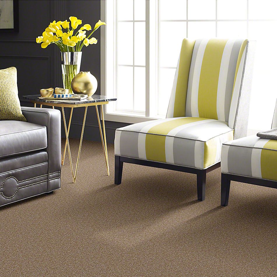 Shaw Floors Instant Winner Tweed 52E28_00700