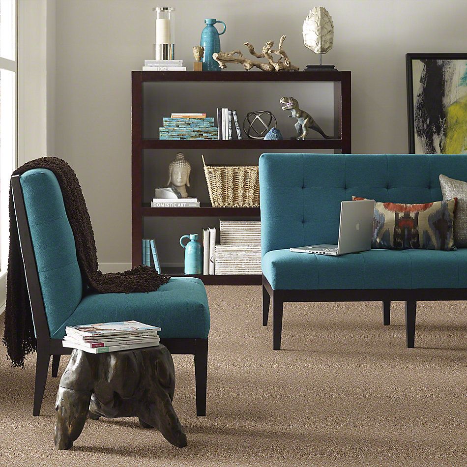 Shaw Floors Instant Winner Tweed 52E28_00700