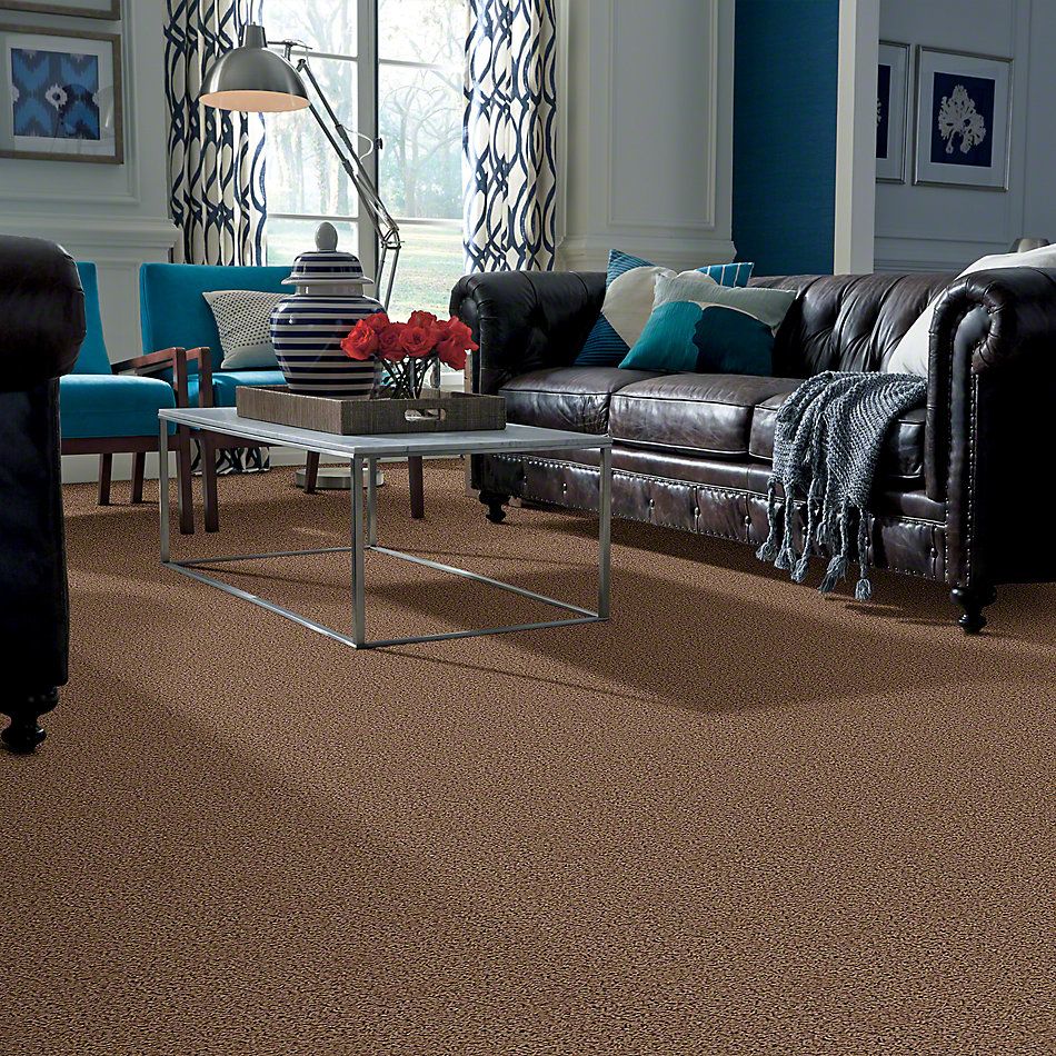 Shaw Floors Guess Work (s) Pottery 52T99_00700