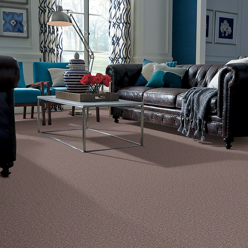Shaw Floors Full Court 12′ Hearth Stone 52Y46_00700