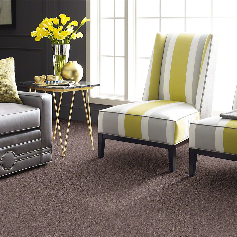 Shaw Floors Full Court 12′ Hearth Stone 52Y46_00700