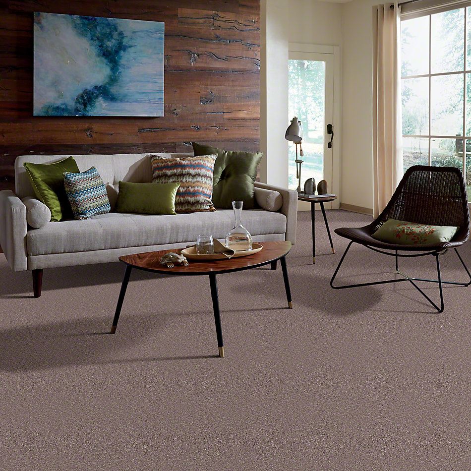 Shaw Floors Full Court 12′ Hearth Stone 52Y46_00700
