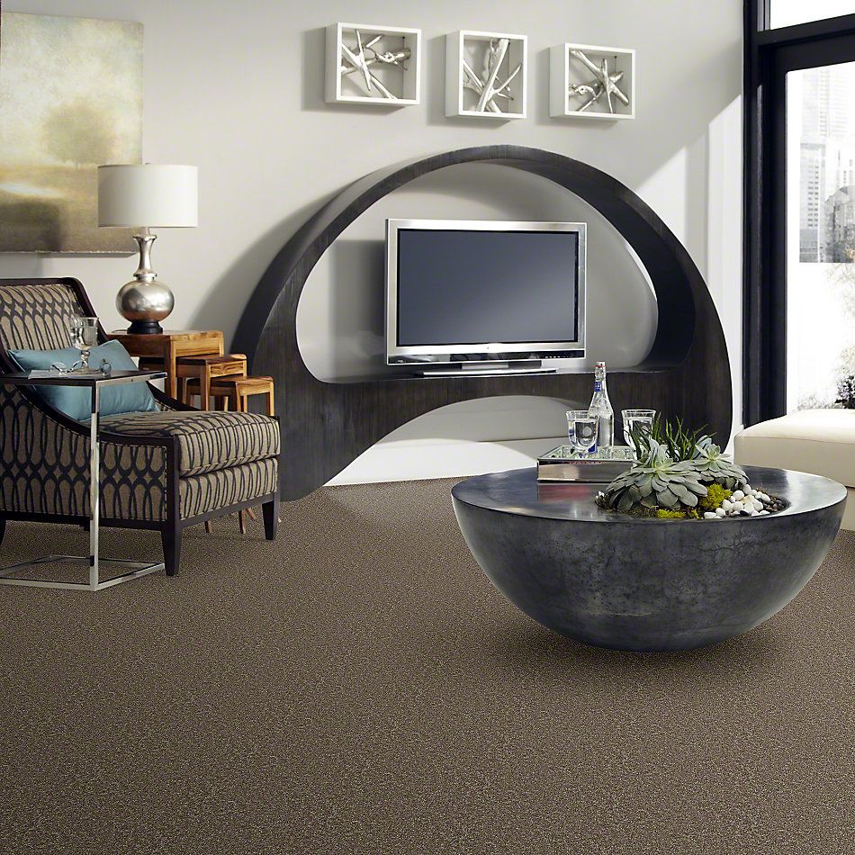 Shaw Floors Full Court 15′ Hearth Stone 52Y82_00700