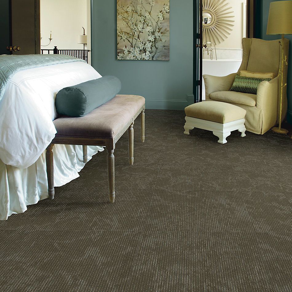 Shaw Floors Cultured Collection Esthetic Distinction 00700_54918
