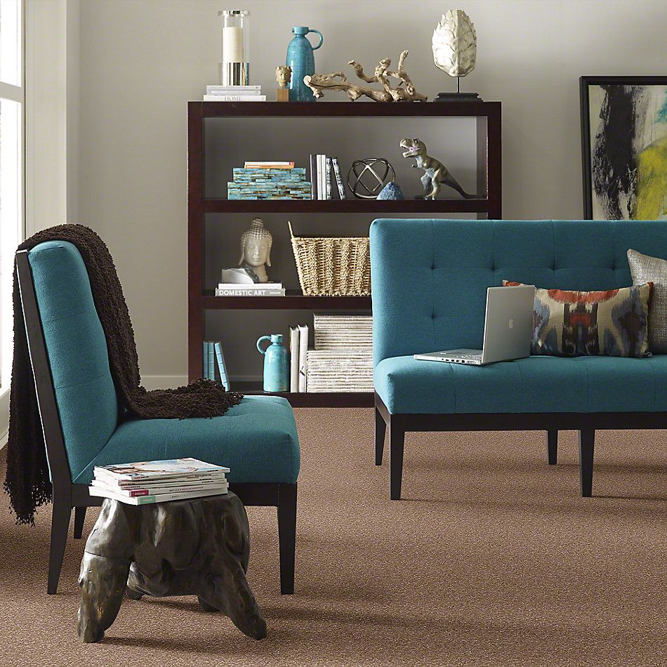 Shaw Floors Shaw Design Center Opportunity Knocks Acorn 00700_5C788