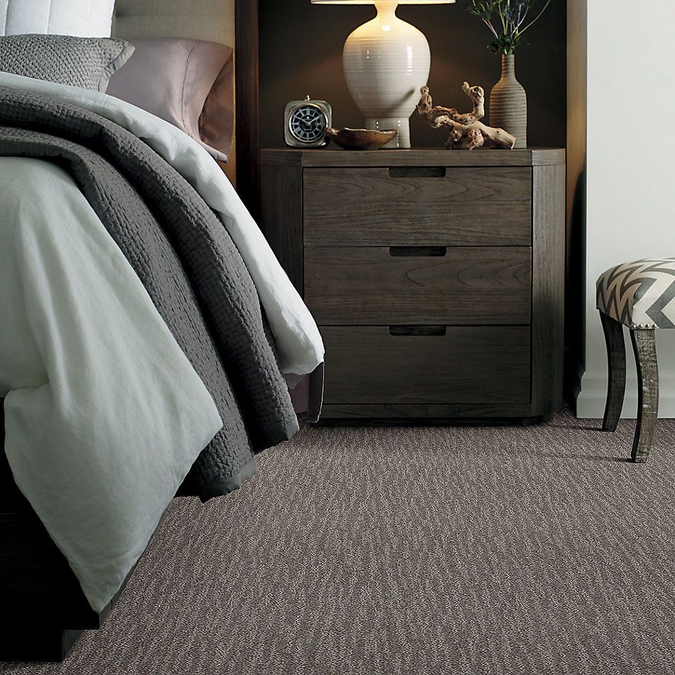 Shaw Floors Pet Perfect Plus Nature Within River Run 00700_5E278