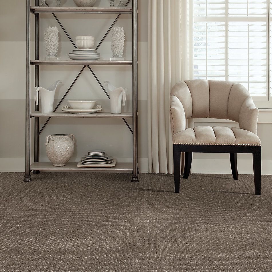 Shaw Floors Simply The Best Stay Fit Net Papoose 00700_5E330