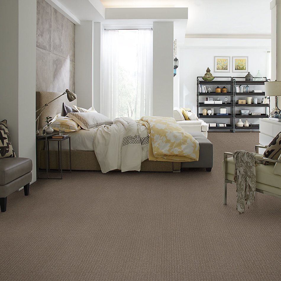 Shaw Floors Simply The Best Stay Fit Net Papoose 00700_5E330