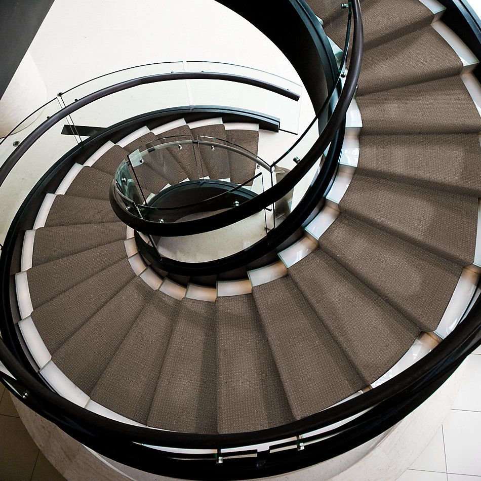 Shaw Floors Simply The Best Stay Fit Net Papoose 00700_5E330
