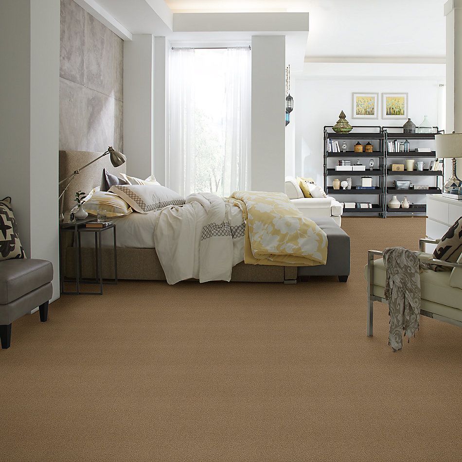 Shaw Floors Value Collections Sandy Hollow Cl III Net Muffin 00700_5E511