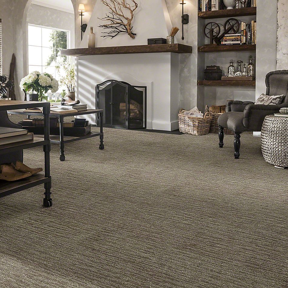 Shaw Floors Dynamic Vision Menswear 00700_6E001
