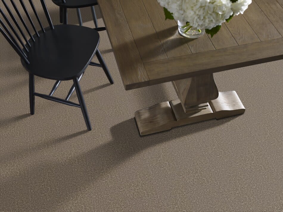 Shaw Floors Property Essentials Forest City I 15 Hearth Stone 00700_732F4