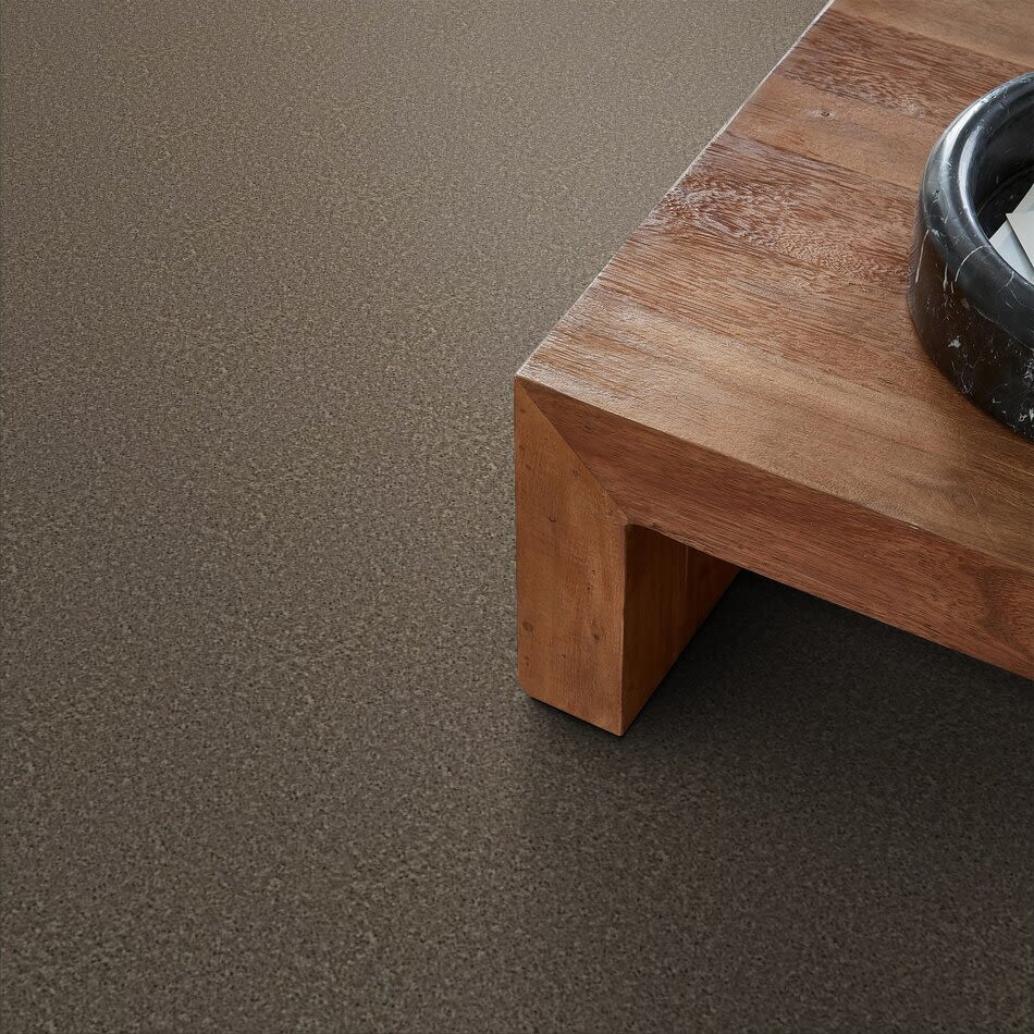 Shaw Floors Property Essentials Forest City I 15 Hearth Stone 00700_732F4