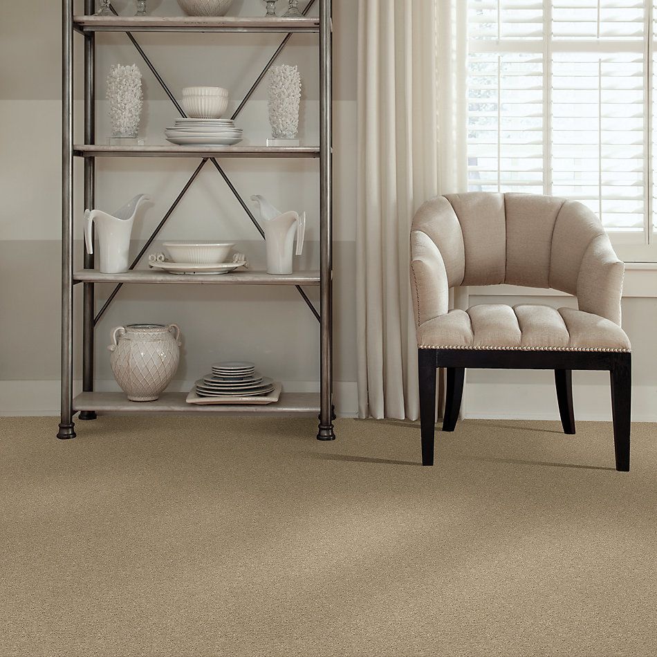 Shaw Floors Caress By Shaw Quiet Comfort Iv Panama 00700_CCB33